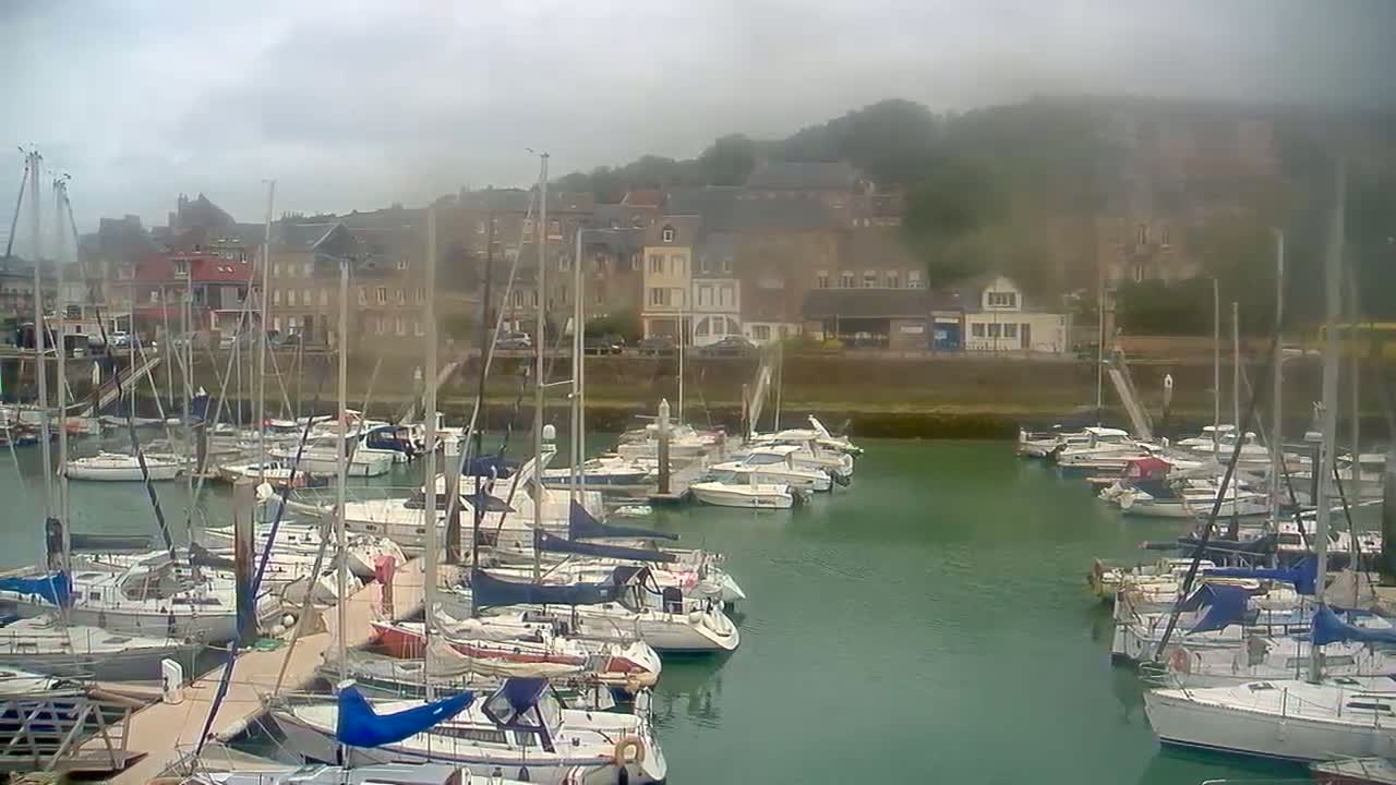 Numerous sailboats are docked in a harbor on an overcast day, with a town visible in the background.