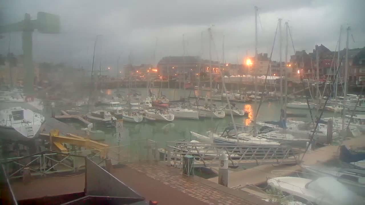 A harbor filled with numerous sailboats and yachts under an overcast, misty sky.