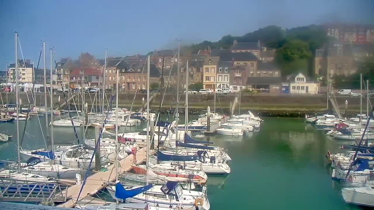 Many sailboats are docked in a calm harbor next to a waterfront town on a clear, sunny day.