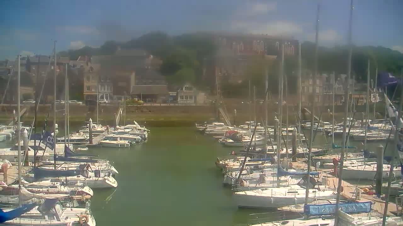 A marina filled with numerous sailboats is nestled beside a waterfront town under a sunny sky.