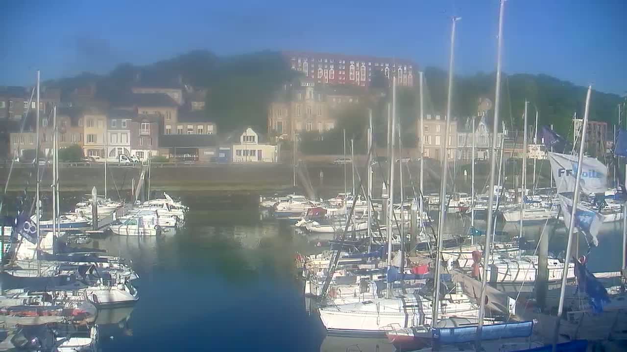 A marina filled with sailboats is situated in front of a town on a clear, sunny day.