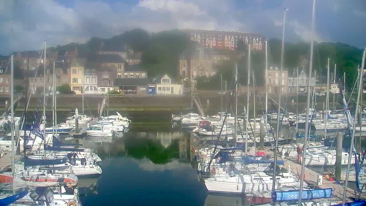 A marina filled with sailboats is situated in front of a waterfront town under partly cloudy skies.