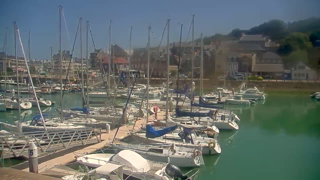 A marina filled with sailboats and motorboats is situated on calm, green water under a clear, sunny sky, with buildings and hills visible in the background.