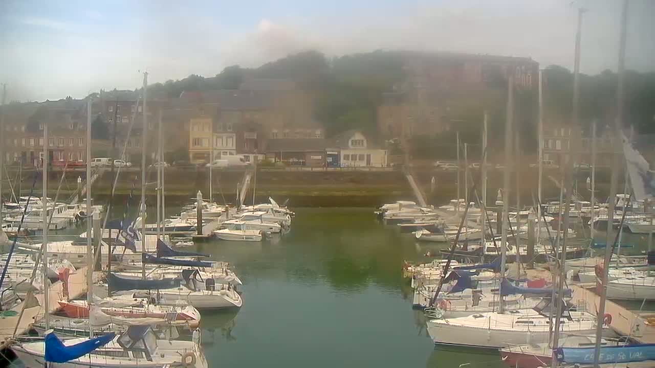 A hazy marina filled with numerous sailboats and motorboats is nestled against a hillside of buildings and trees.