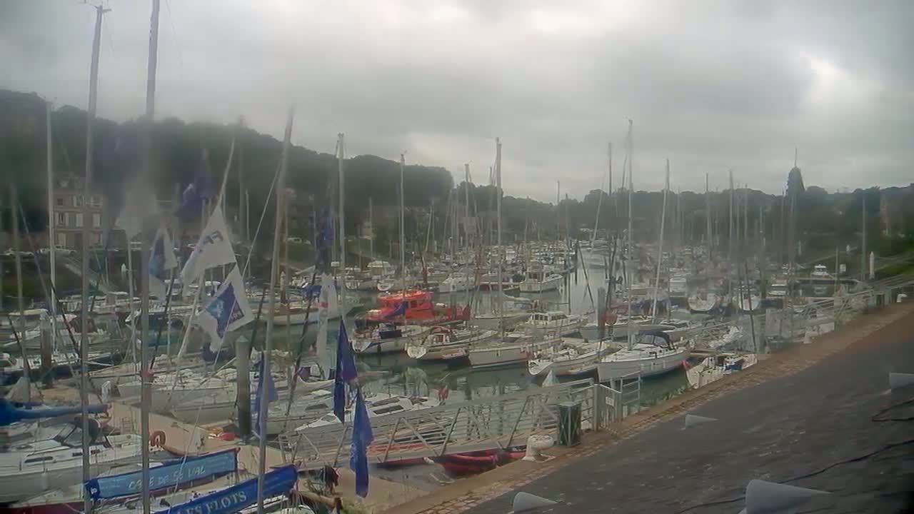 A large marina filled with numerous sailboats and motorboats under an overcast sky.