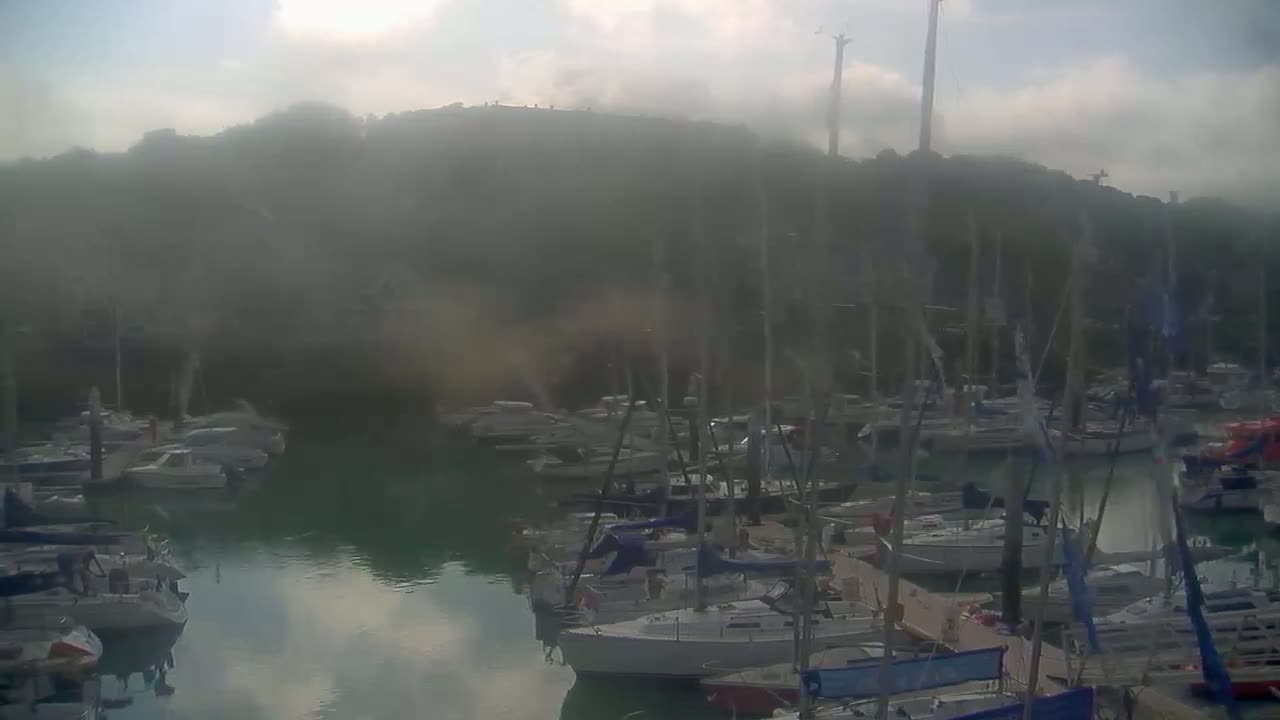 Many sailboats are docked in a marina, with a hazy, possibly foggy, atmosphere obscuring a hillside in the background.