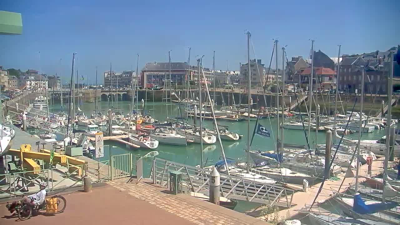A marina filled with numerous sailboats and motorboats is seen on a sunny day, with a person on a bicycle in the foreground.