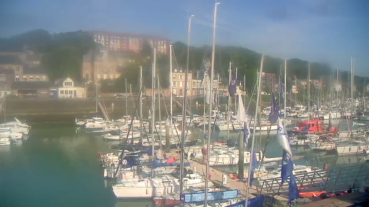 A marina filled with sailboats and motorboats is situated in front of a hillside town on a hazy, sunny day.