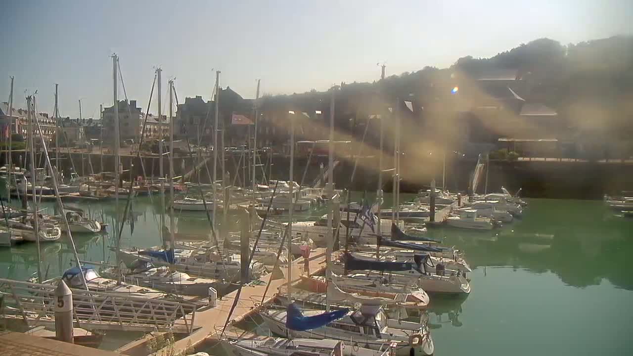 Numerous sailboats are docked in a marina on a sunny day, with buildings and hills visible in the background.
