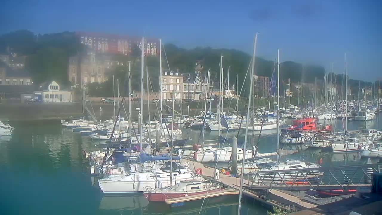 A marina filled with sailboats and motorboats is nestled next to a hillside of buildings on a clear, sunny day.