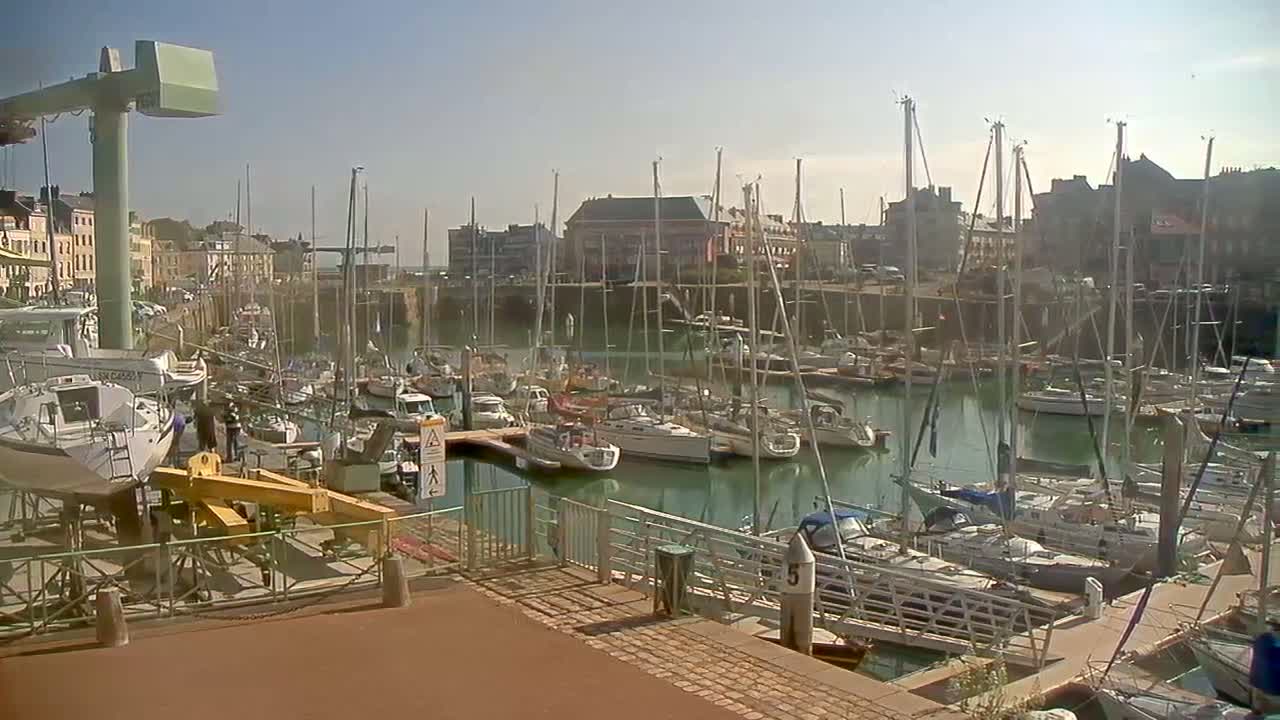 Numerous sailboats are docked in a marina on a sunny day, with buildings lining the waterfront.