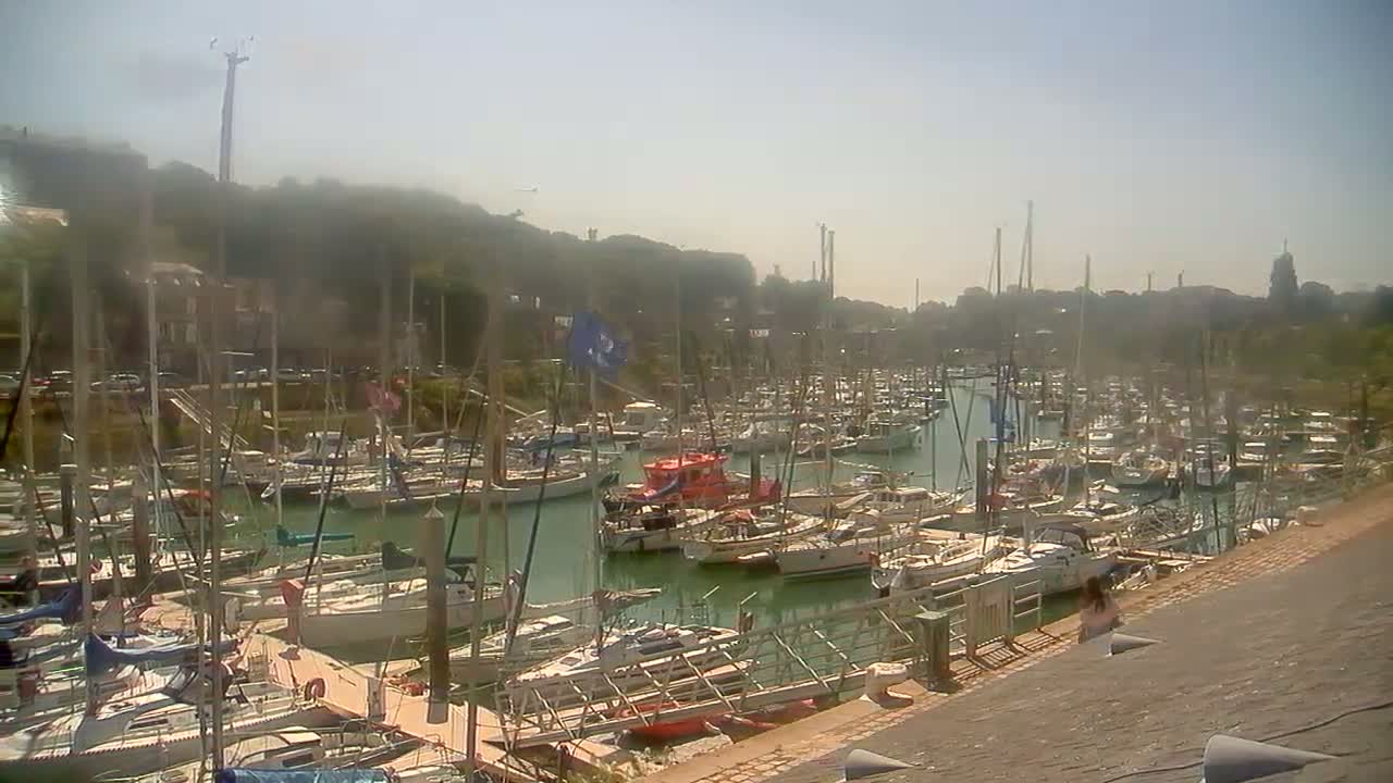 A densely packed marina filled with sailboats and motorboats on a sunny day.