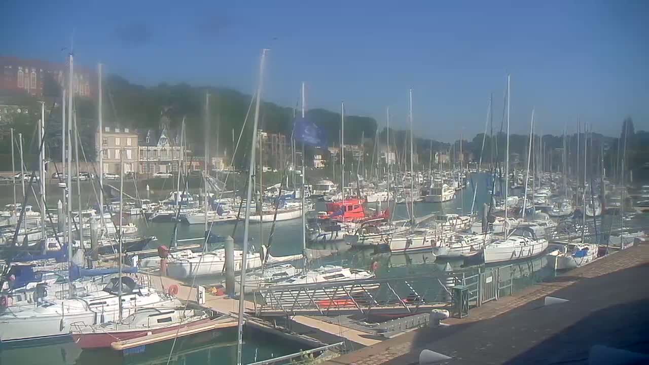 A densely packed marina filled with sailboats and motorboats on a sunny day, backed by a hillside with buildings and trees.