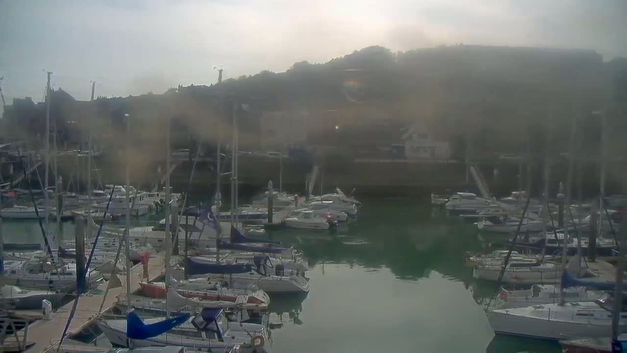 A hazy marina filled with numerous sailboats and motorboats is nestled against a hill under a misty sky.