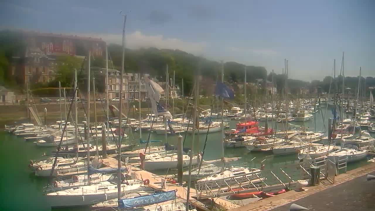 A marina filled with numerous sailboats and motorboats is nestled beside a hillside of green trees and buildings under a mostly sunny sky.