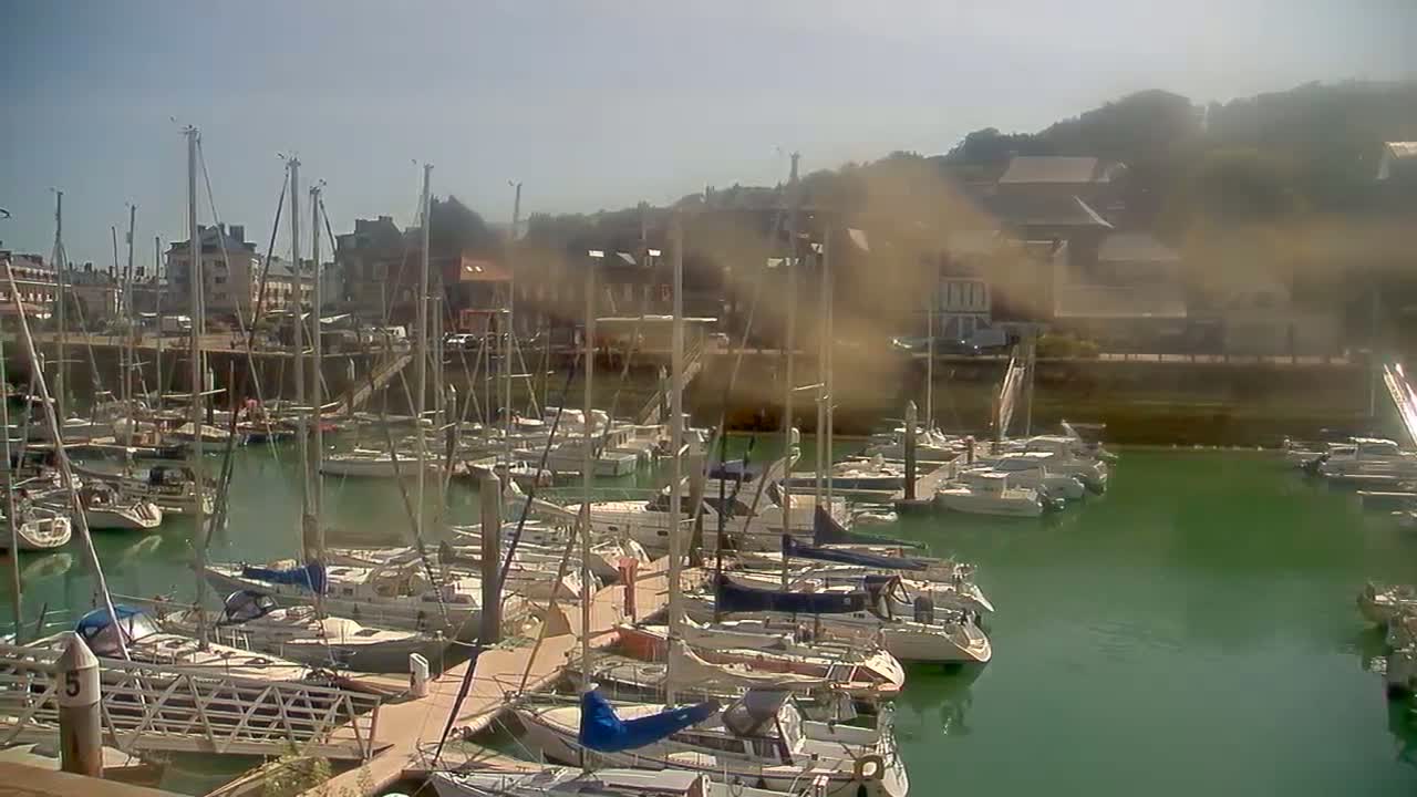 Numerous sailboats are docked in a marina on a hazy, sunny day.