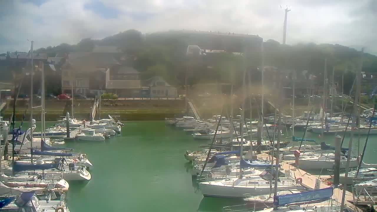 A marina filled with sailboats on a hazy, sunny day, with a hillside town visible in the background.