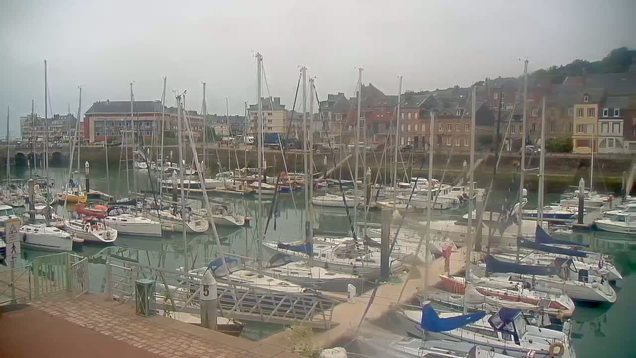 Many sailboats are docked in a marina on a cloudy day, with multi-story buildings visible in the background.