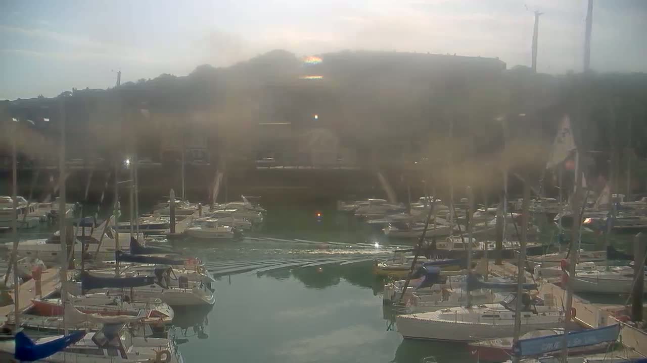 Many sailboats are docked in a marina on a hazy, sunny day.