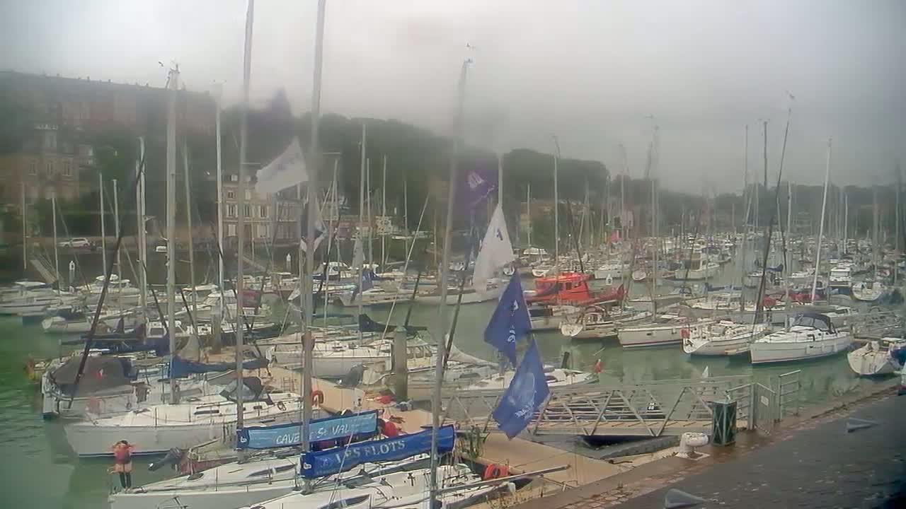 Many sailboats are docked in a harbor on a foggy day.