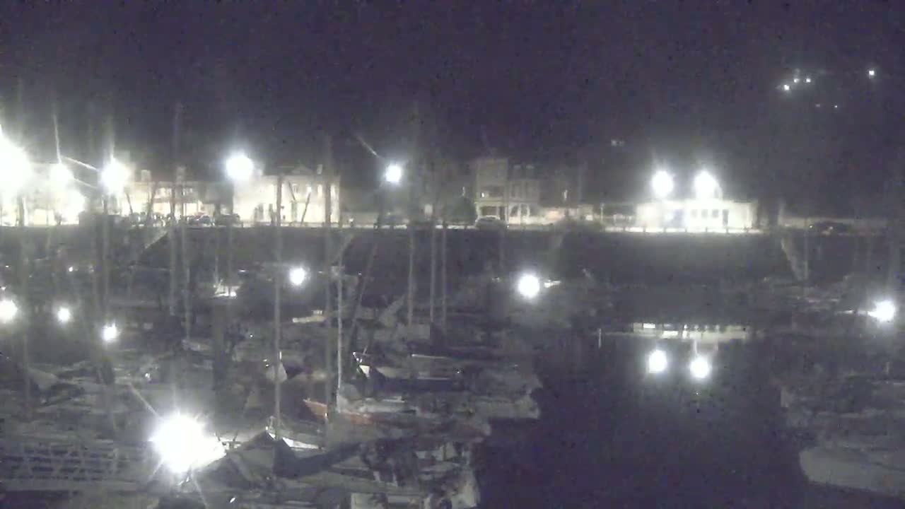 Many sailboats are docked in a harbor on a foggy day.