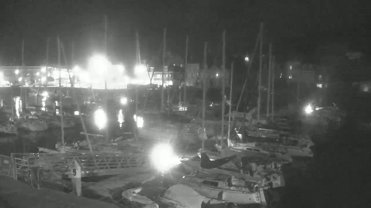 A nighttime, low-light view shows numerous boats docked at a marina with some lights visible on the water and nearby buildings.