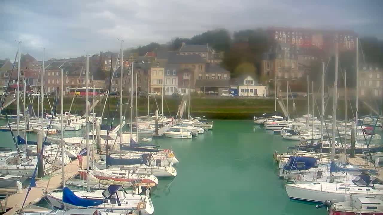 A nighttime, low-light view shows numerous boats docked at a marina with some lights visible on the water and nearby buildings.