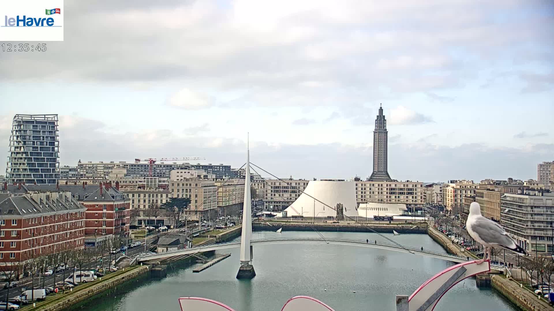 A seagull perches on a structure overlooking a harbor with a modern bridge, cityscape, and a tall tower under a cloudy sky.