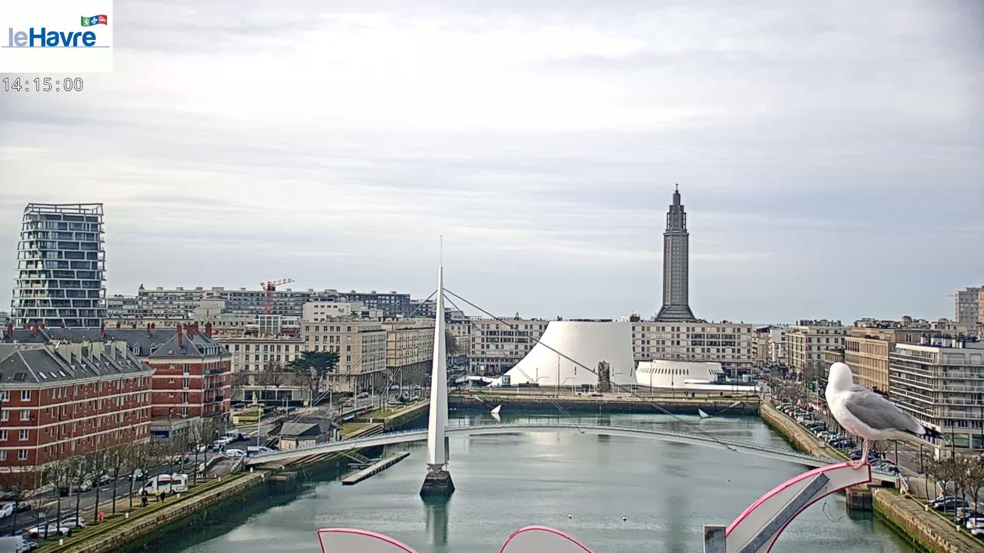 A city waterfront scene under a mostly cloudy sky features a slender white bridge spanning a waterway, with various buildings including a tall tower and modern structures, and a seagull perched on a structure in the foreground.