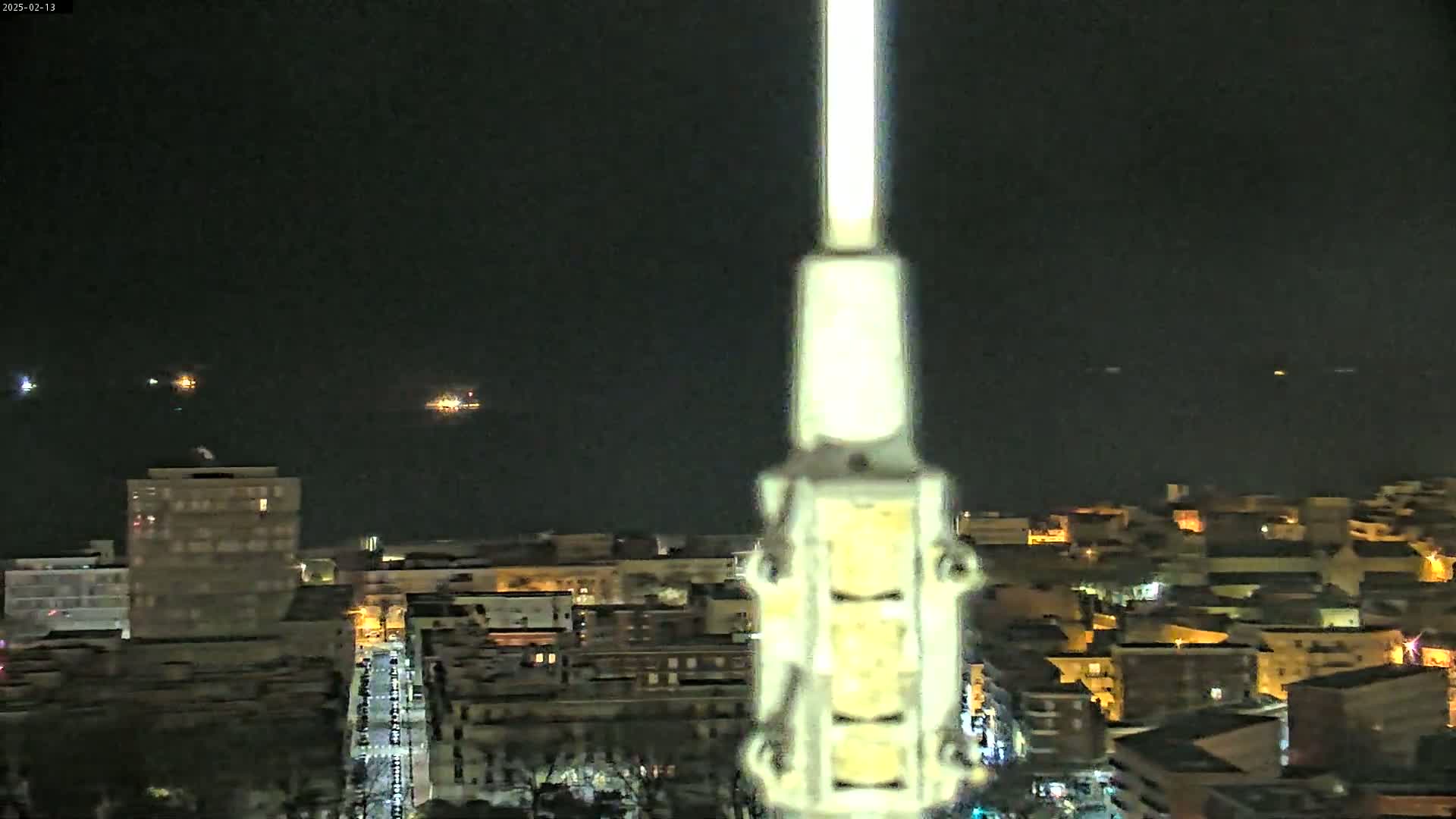 A nighttime view of a city skyline with distant lights and a tall, slender object in the foreground obscuring part of the view.