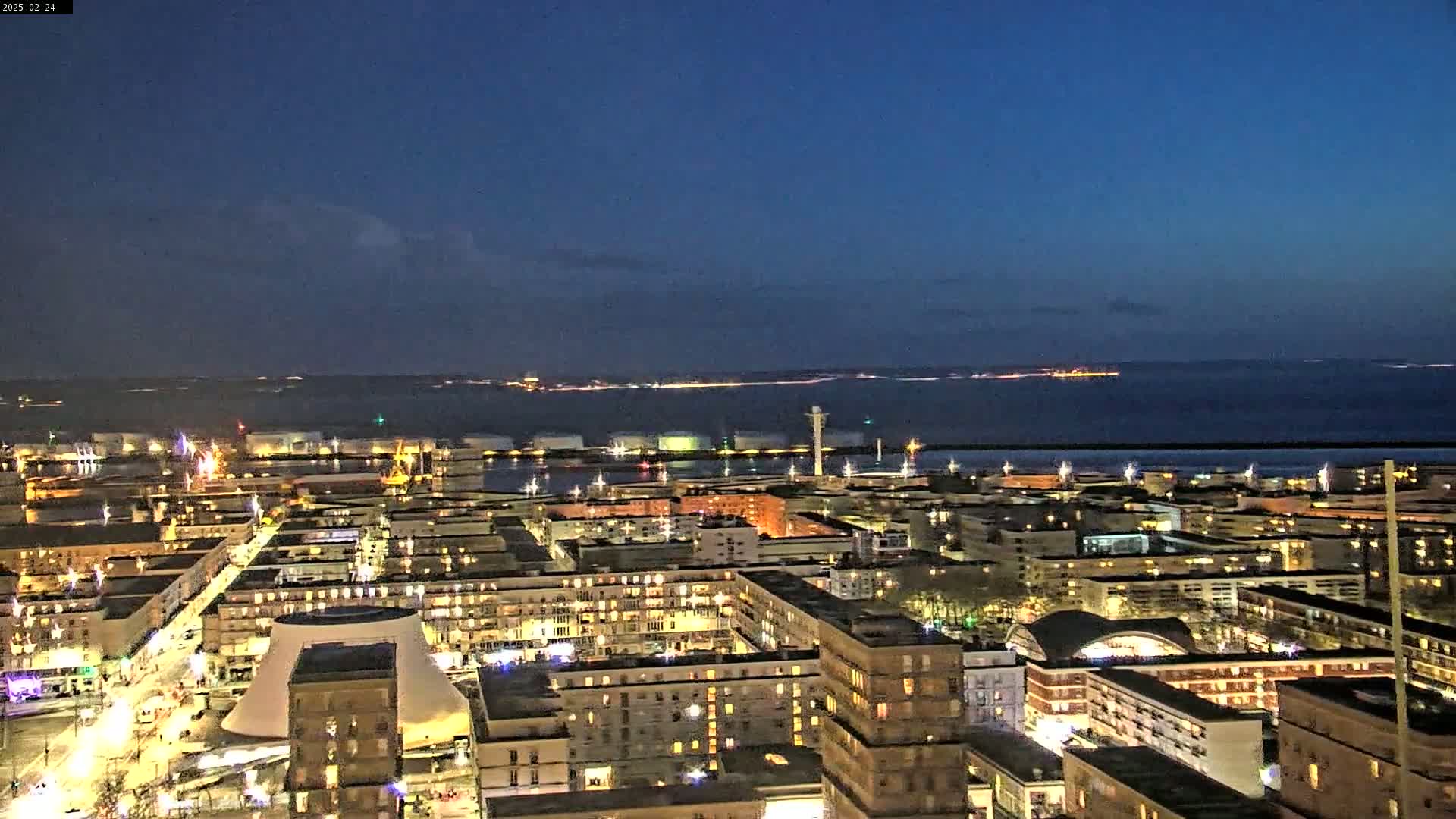 A nighttime aerial view shows a city with illuminated buildings near a harbor and body of water under a dark, mostly clear sky.