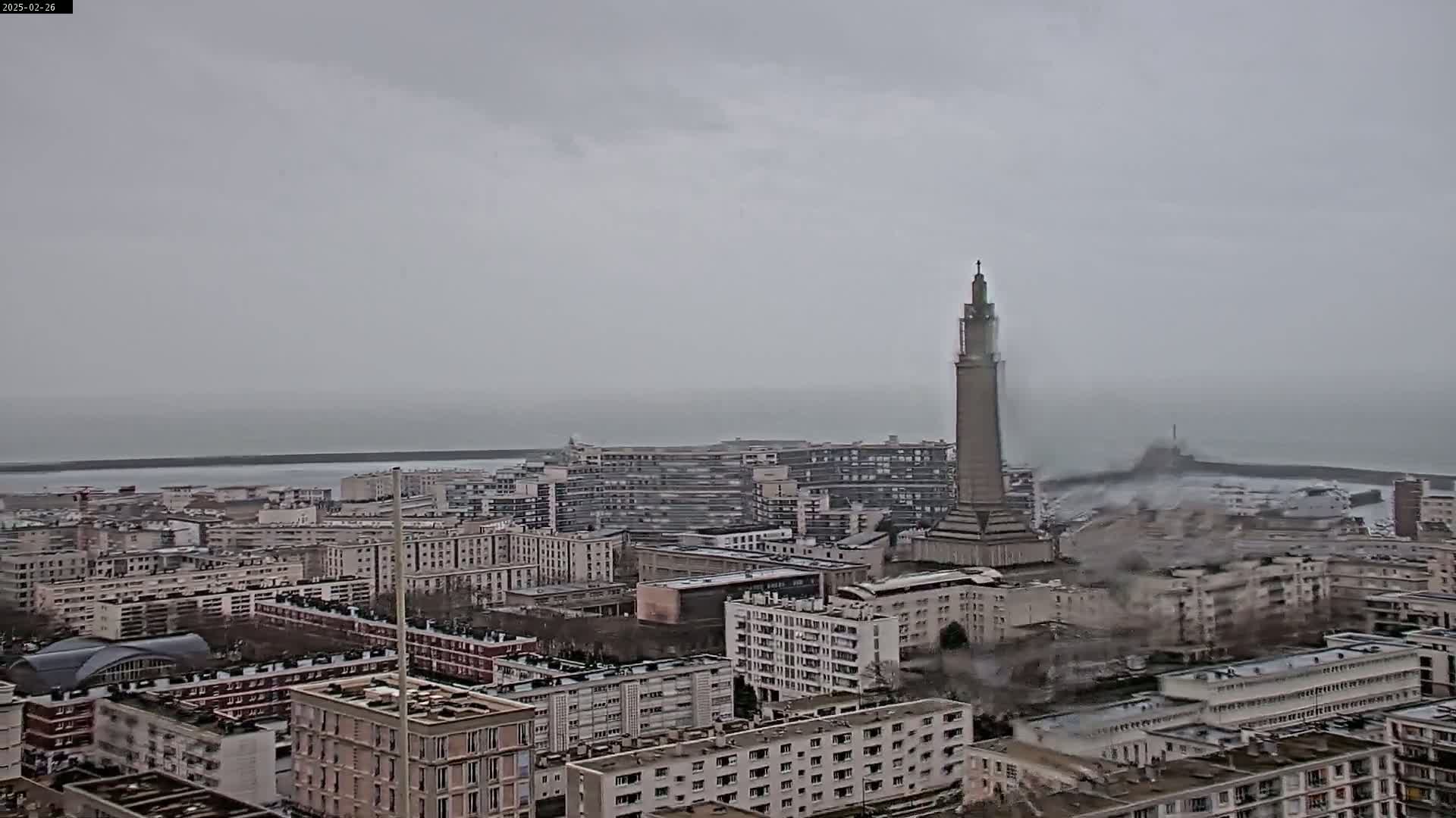 A city skyline with a tall tower is visible on an overcast day, with a body of water in the distance.