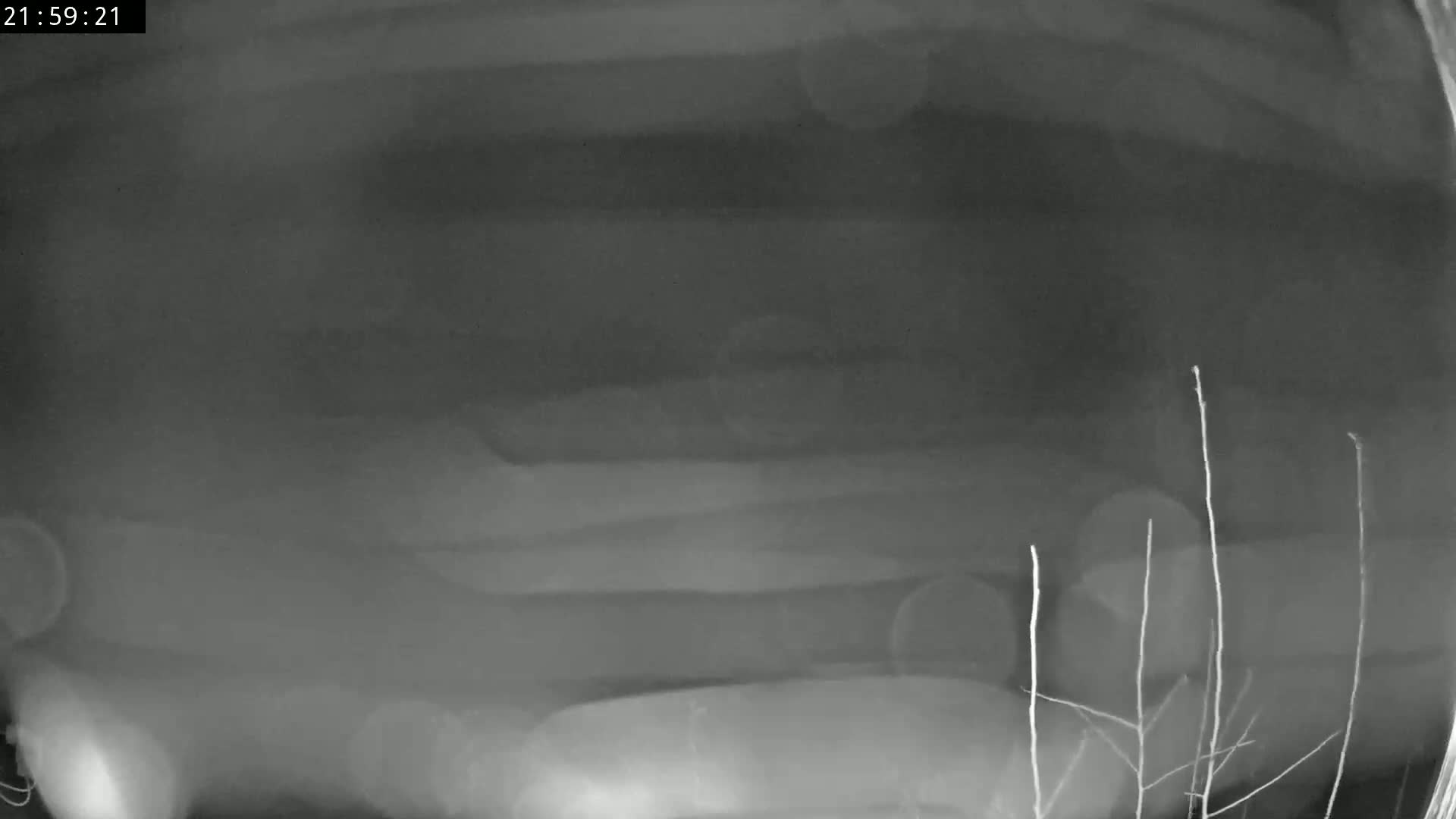A grainy, low-light image shows a blurry, indistinct object that appears to be a vehicle viewed from a low angle, possibly at night.