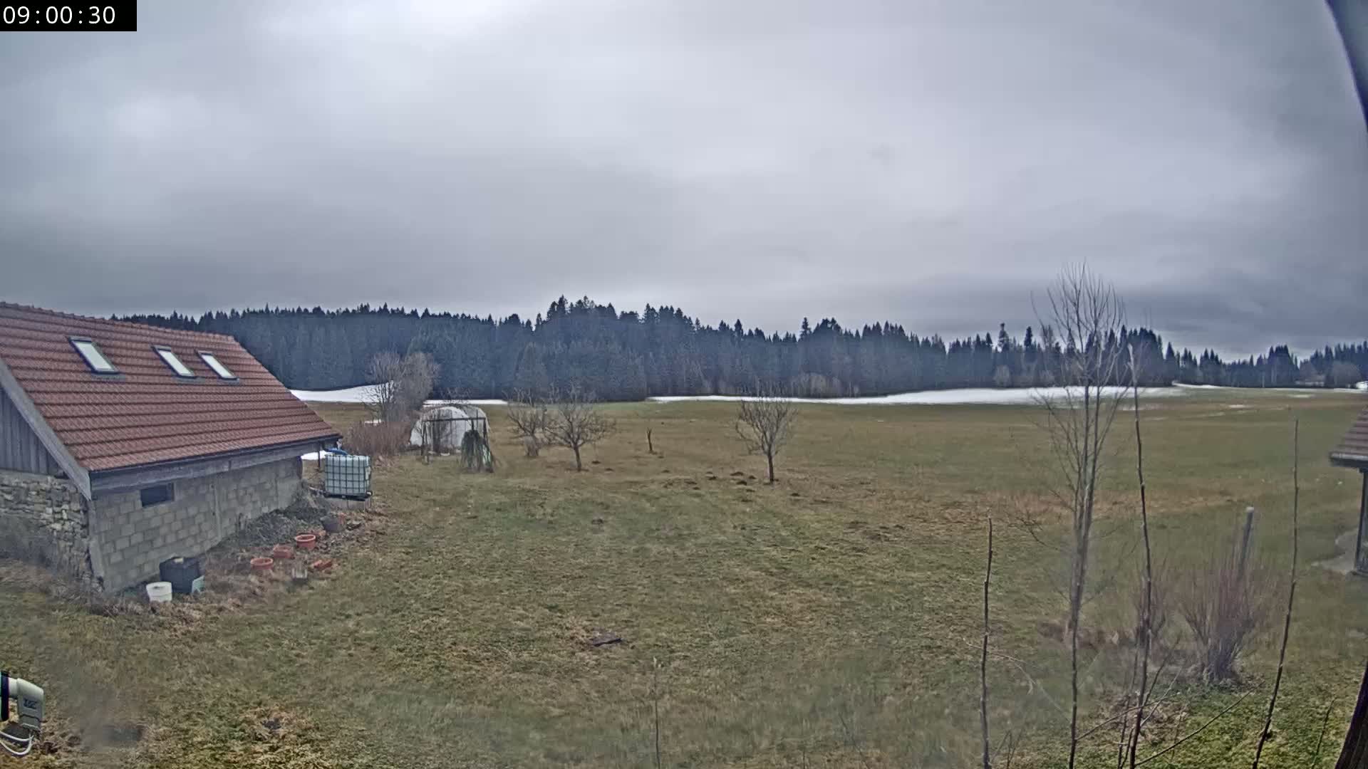 A brown-roofed stone building sits in a field with a few bare trees under an overcast sky, beyond which is a line of dark forest.