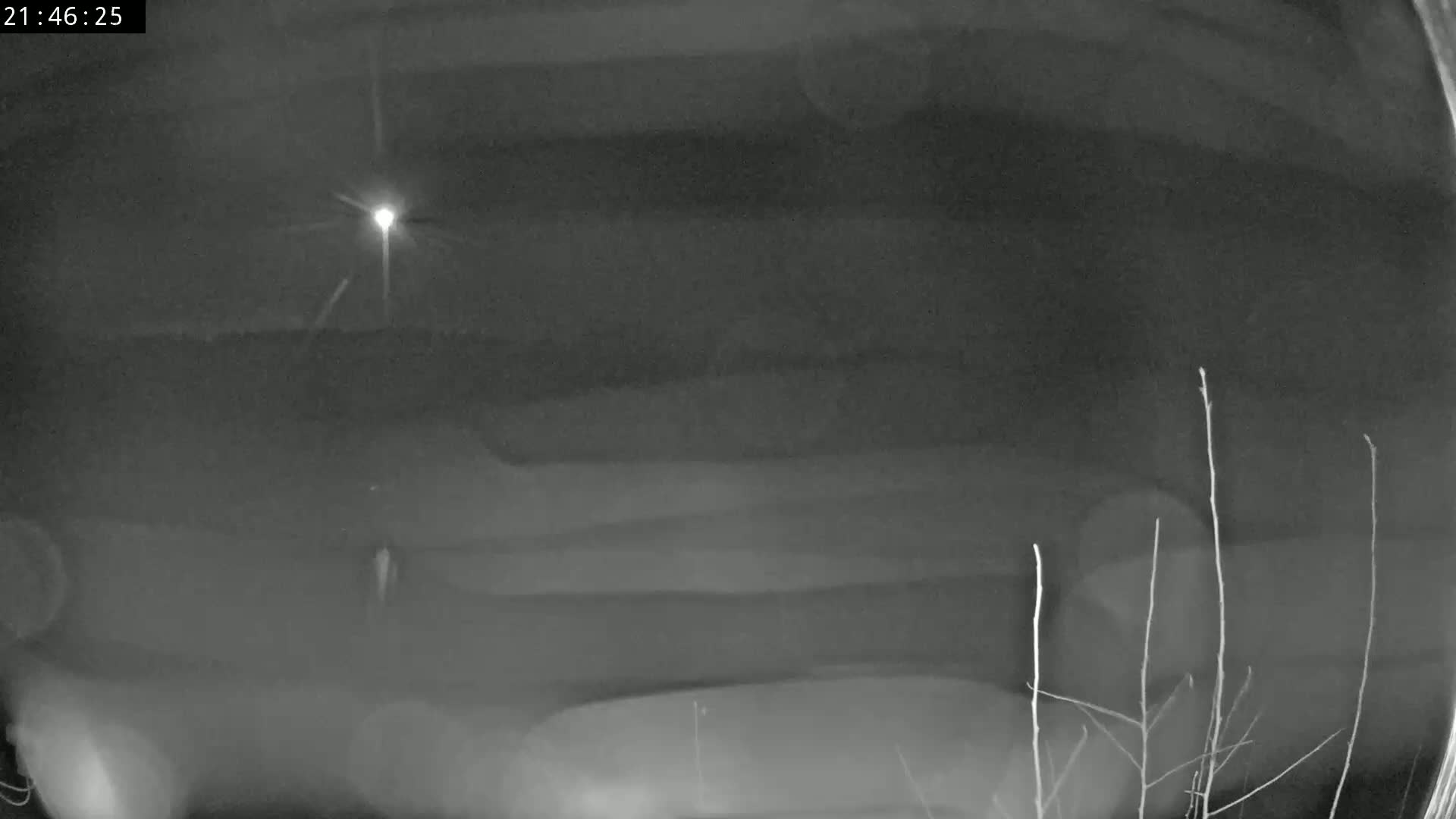 A nighttime, low-light image shows a blurry figure in the distance near bare branches and a bright light source.