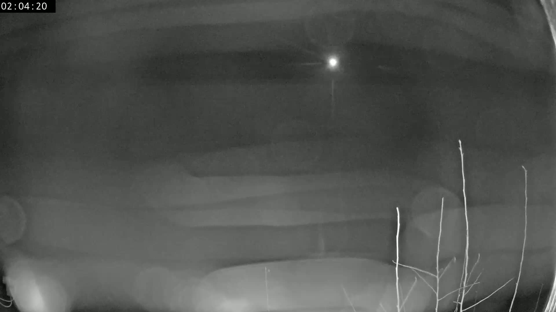 A nighttime, blurry security camera image shows a dark vehicle parked outside, with bare branches visible in the lower right corner and a bright light source in the distance.