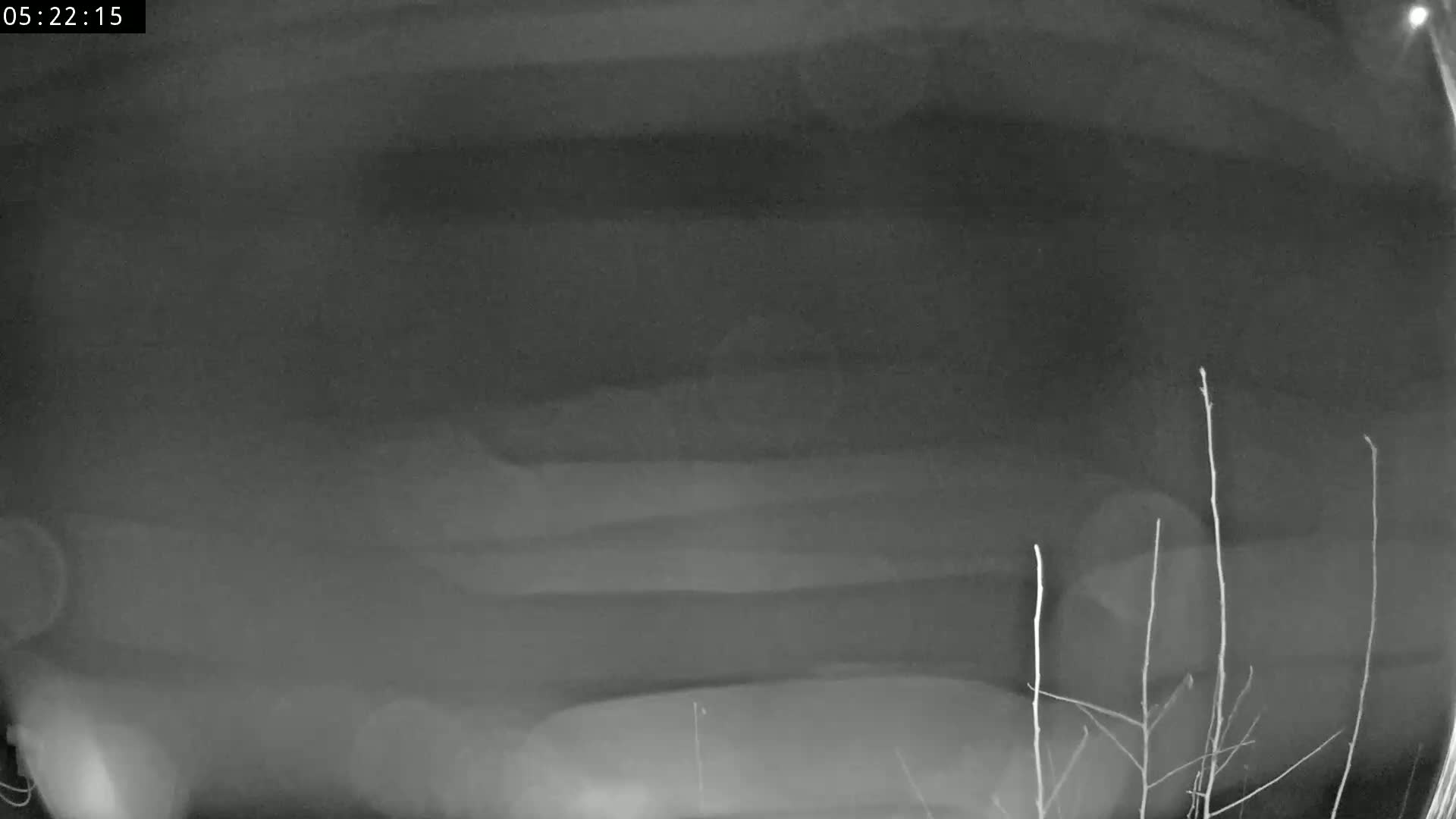 A blurry, grayscale night-vision image shows a dark, possibly overcast sky above a low-lying, indistinct object, partially obscured by thin, bare branches in the foreground.