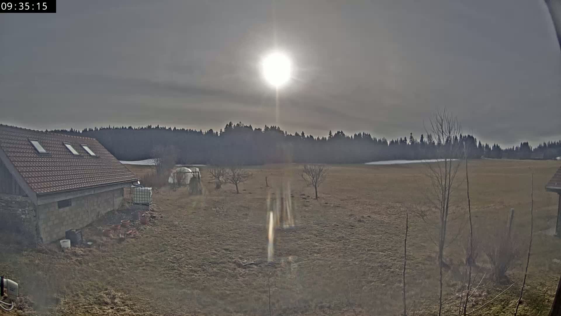 A sunlit, slightly overcast field with a small stone building and a few bare trees sits in front of a dark forest.