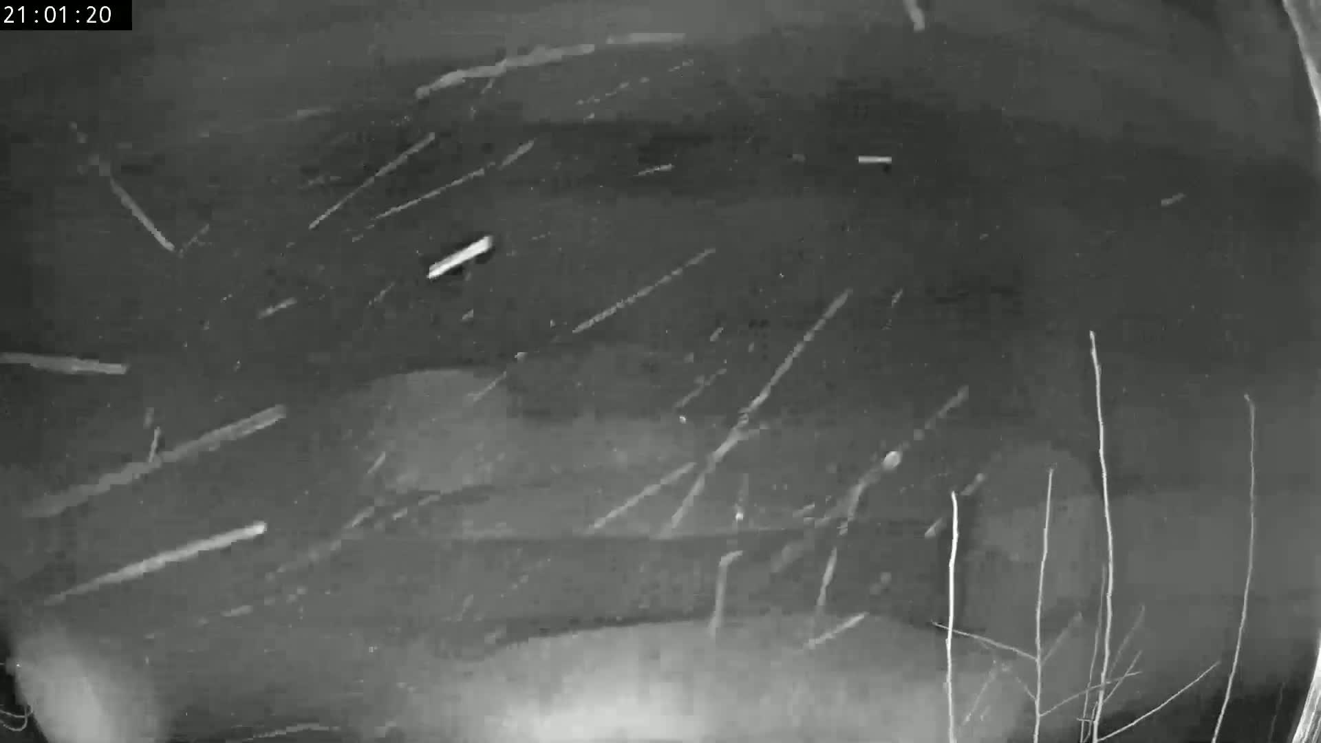 A grainy, nighttime image shows streaks of what appears to be snow or rain on a dark surface.