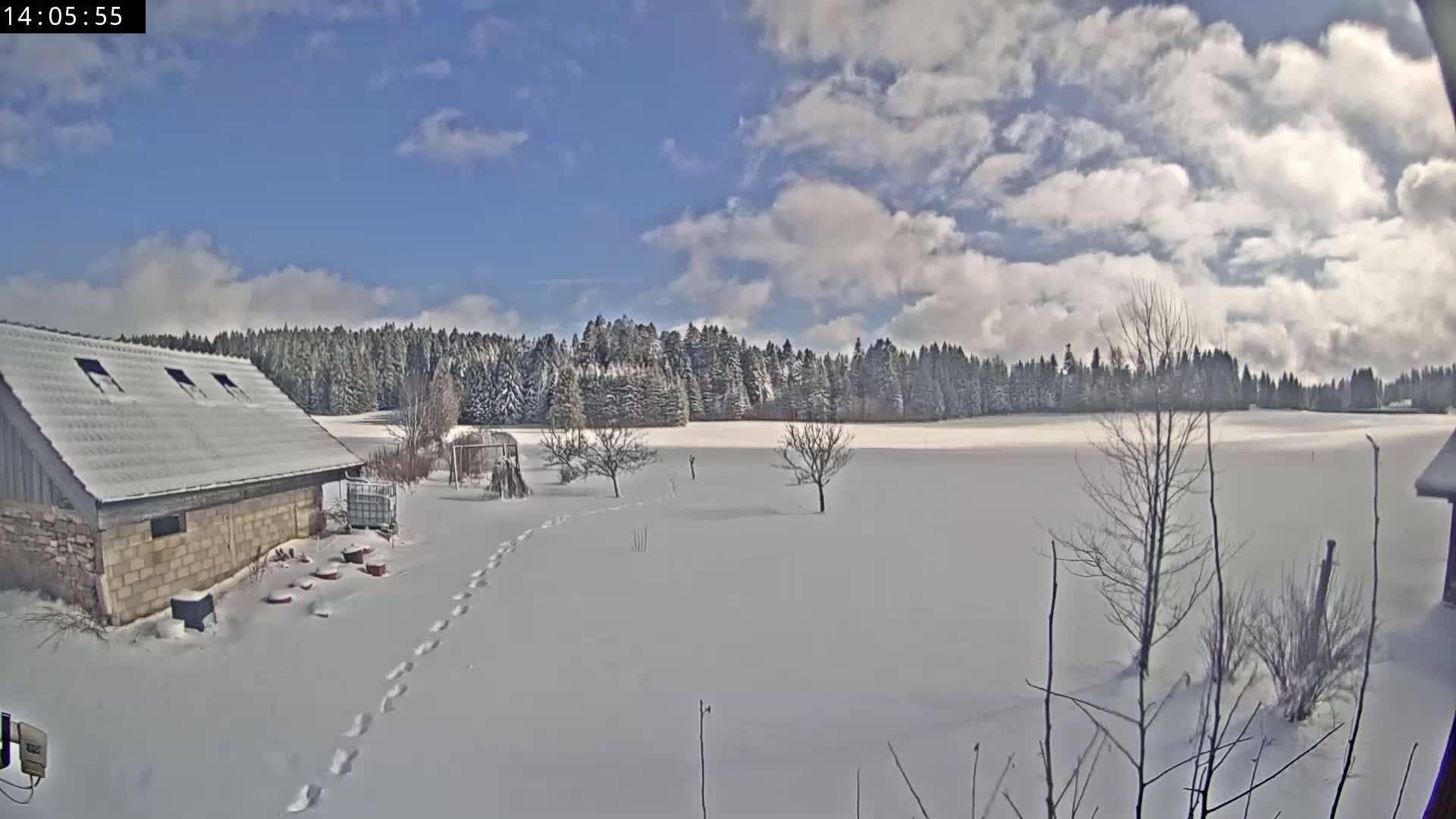 A snow-covered field with a small stone building and bare trees extends to a line of snow-covered evergreen trees under a partly sunny sky.