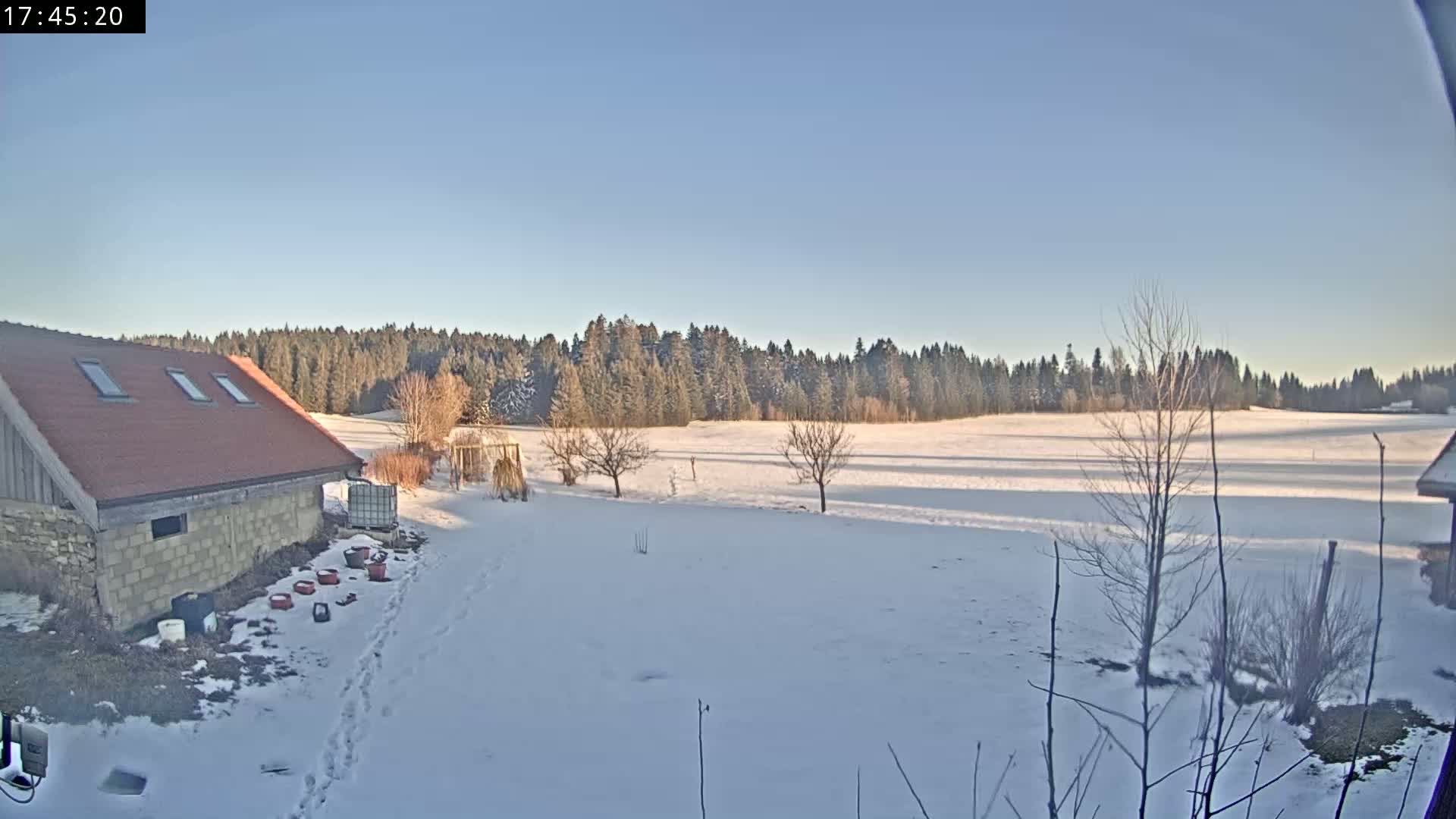 A snow-covered field stretches out before a low building with a red roof, bordered by a line of evergreens under a clear, bright sky.