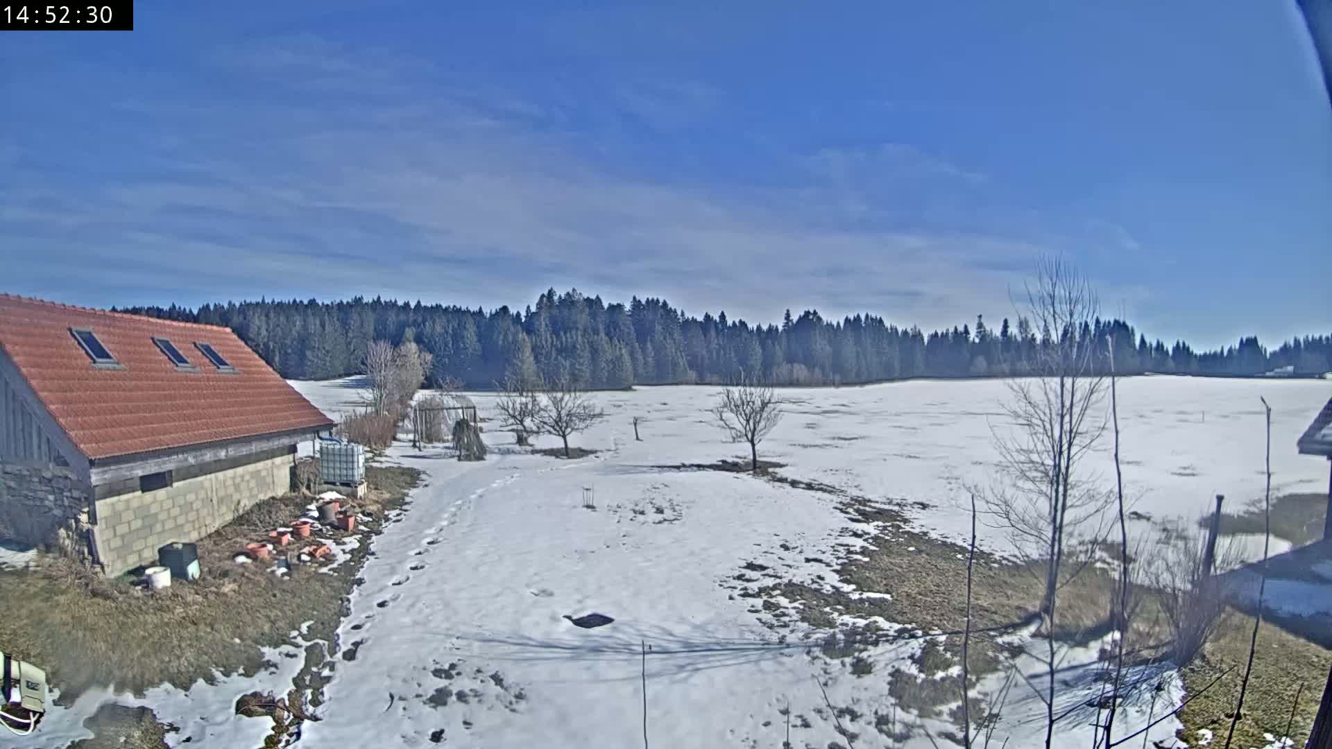 A red-roofed building sits near a snow-covered field, backed by a dark evergreen forest under a mostly clear blue sky.