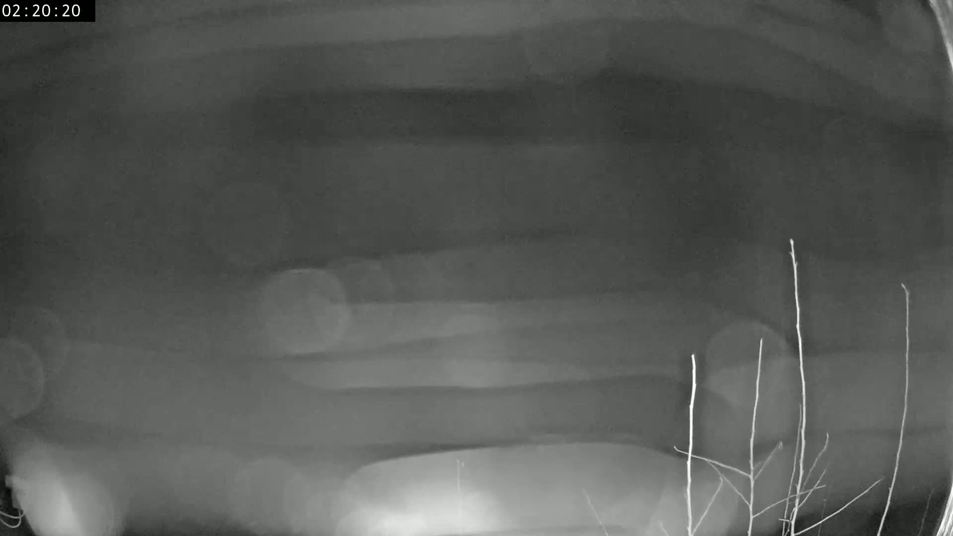 A blurry, grainy, nighttime image shows what appears to be a vehicle partially obscured by fog or mist.