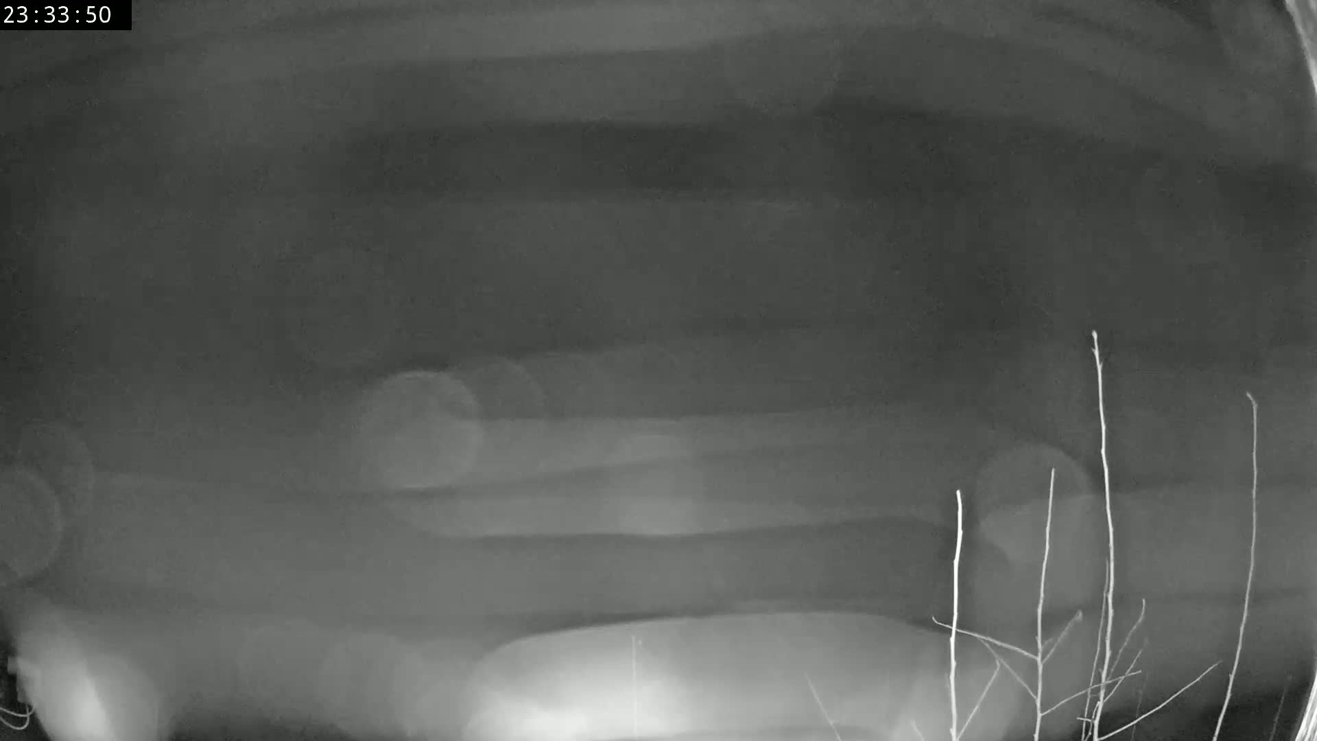 A blurry, nighttime image shows indistinct shapes and out-of-focus lights against a dark sky.