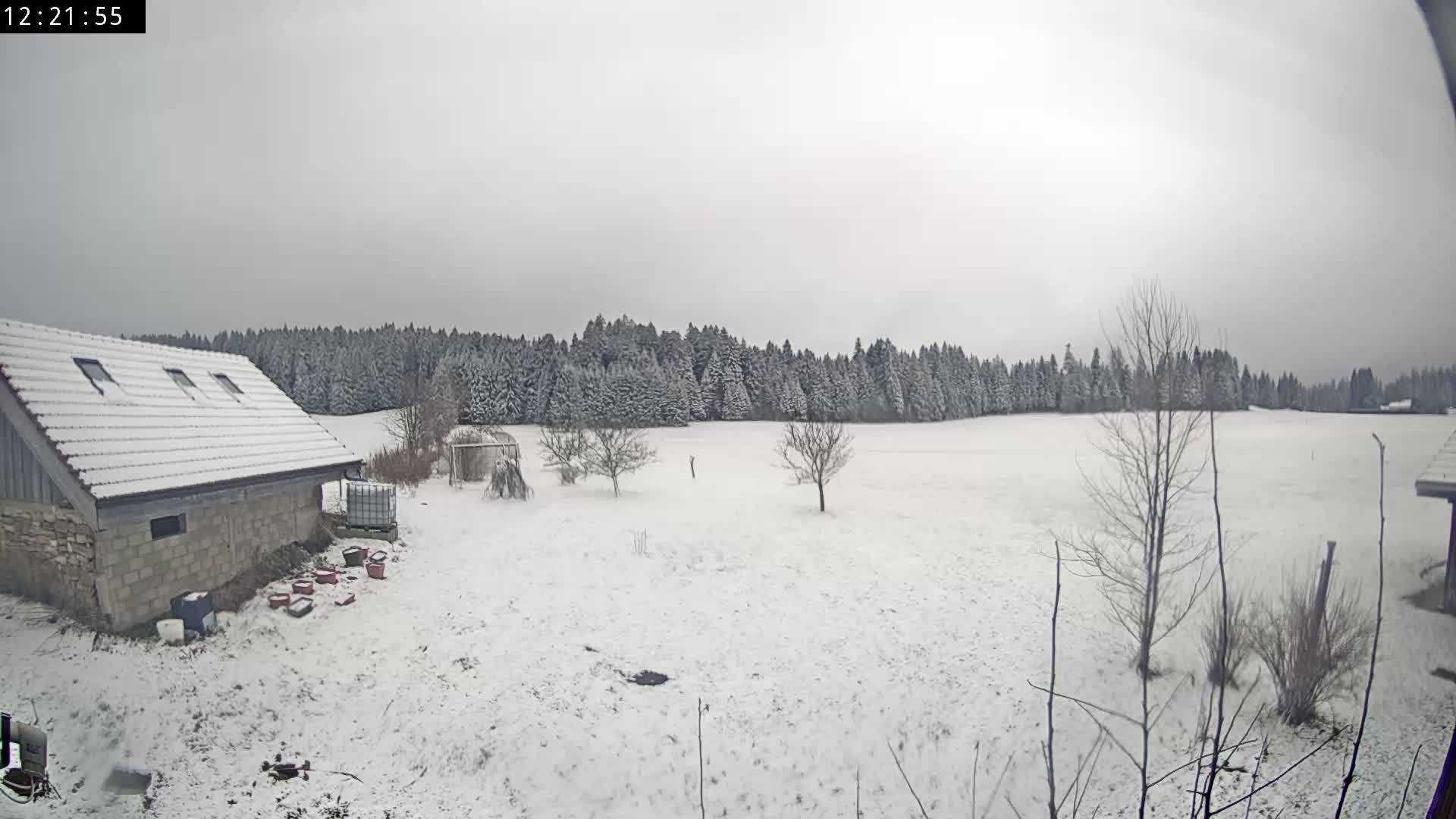 A snow-covered field with a small stone building and leafless trees in the foreground, backed by a snow-dusted forest under an overcast sky.