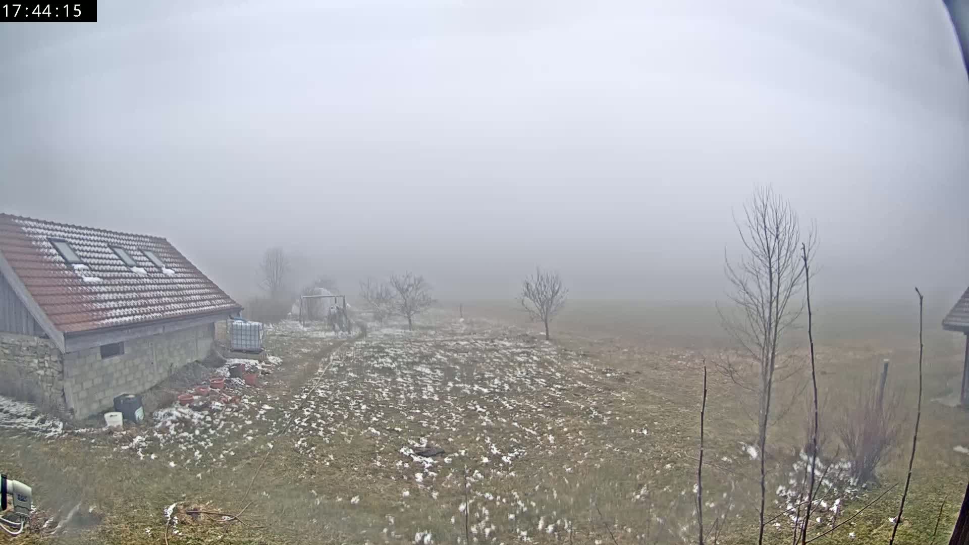 A snow-dusted yard with a small building and a few bare trees is enveloped in thick fog.