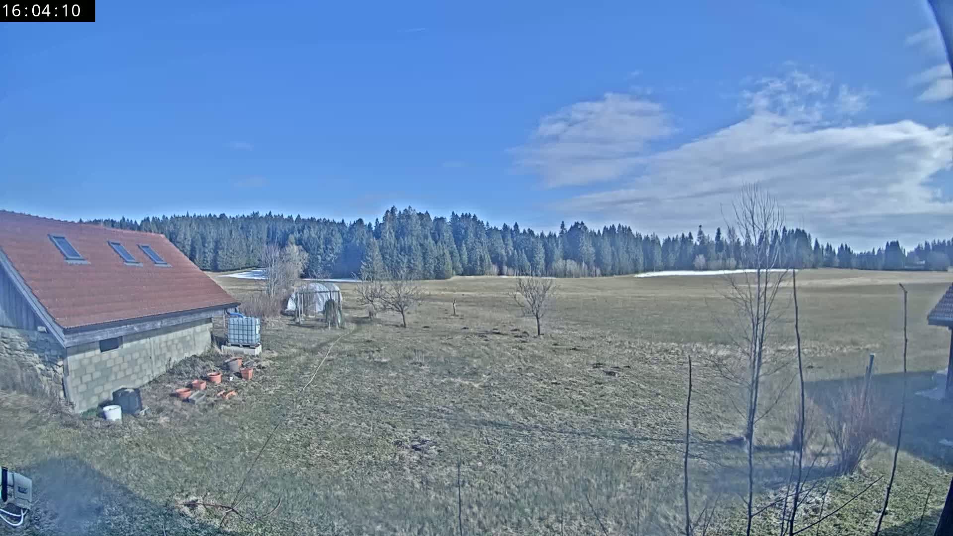 A mostly sunny day reveals a brown-roofed stone building and a large field next to a dark green forest, with a few bare trees and small plants scattered in the foreground.