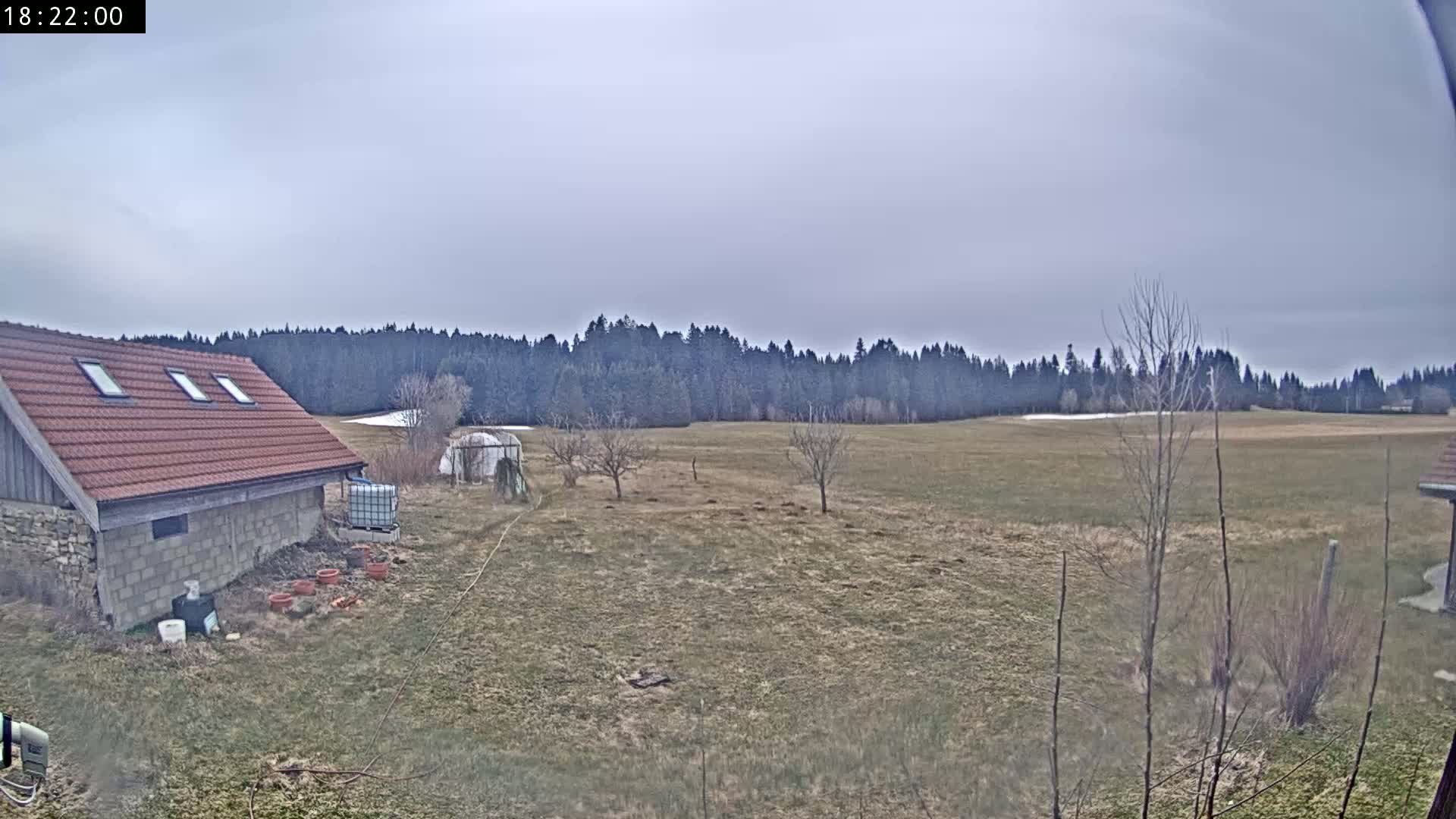 A brown-roofed building sits in a yard overlooking a large, dry field bordered by a dark forest under a cloudy sky.