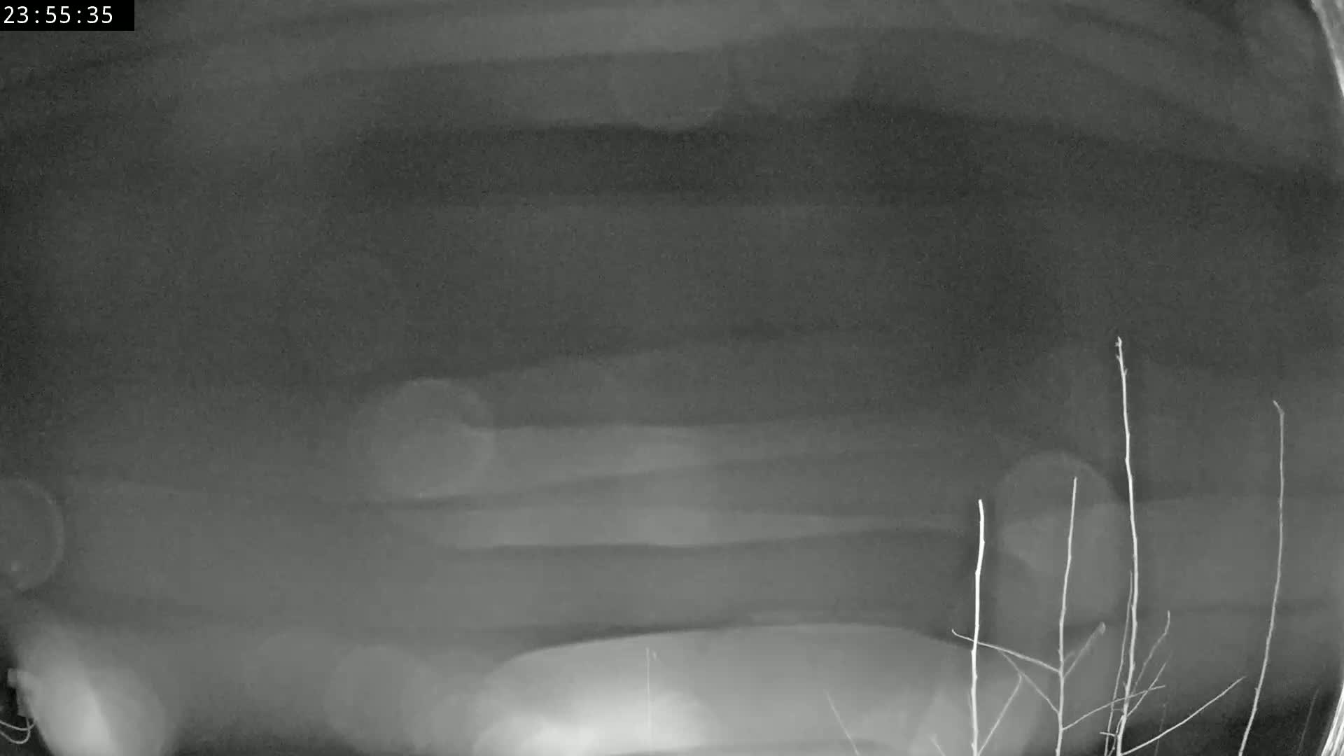 A blurry, grayscale nighttime image shows a vehicle's undercarriage, partially obscured by what appears to be low-lying vegetation.
