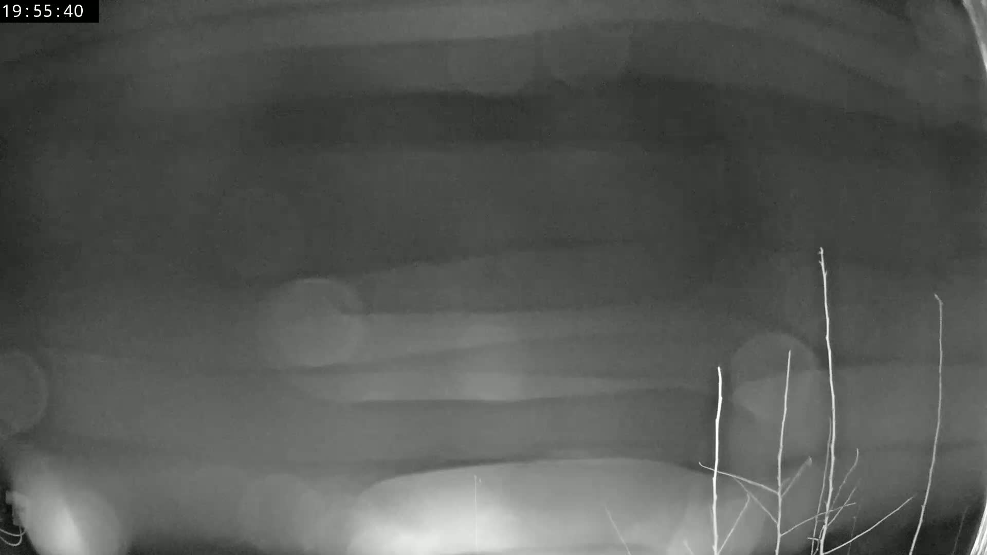 A blurry, grainy nighttime image shows a vehicle passing in front of a security camera, with some bare branches visible in the lower right corner.